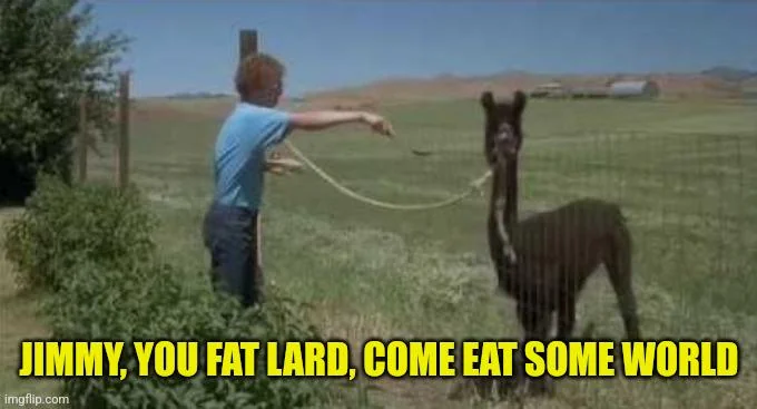 What does a horse eat?