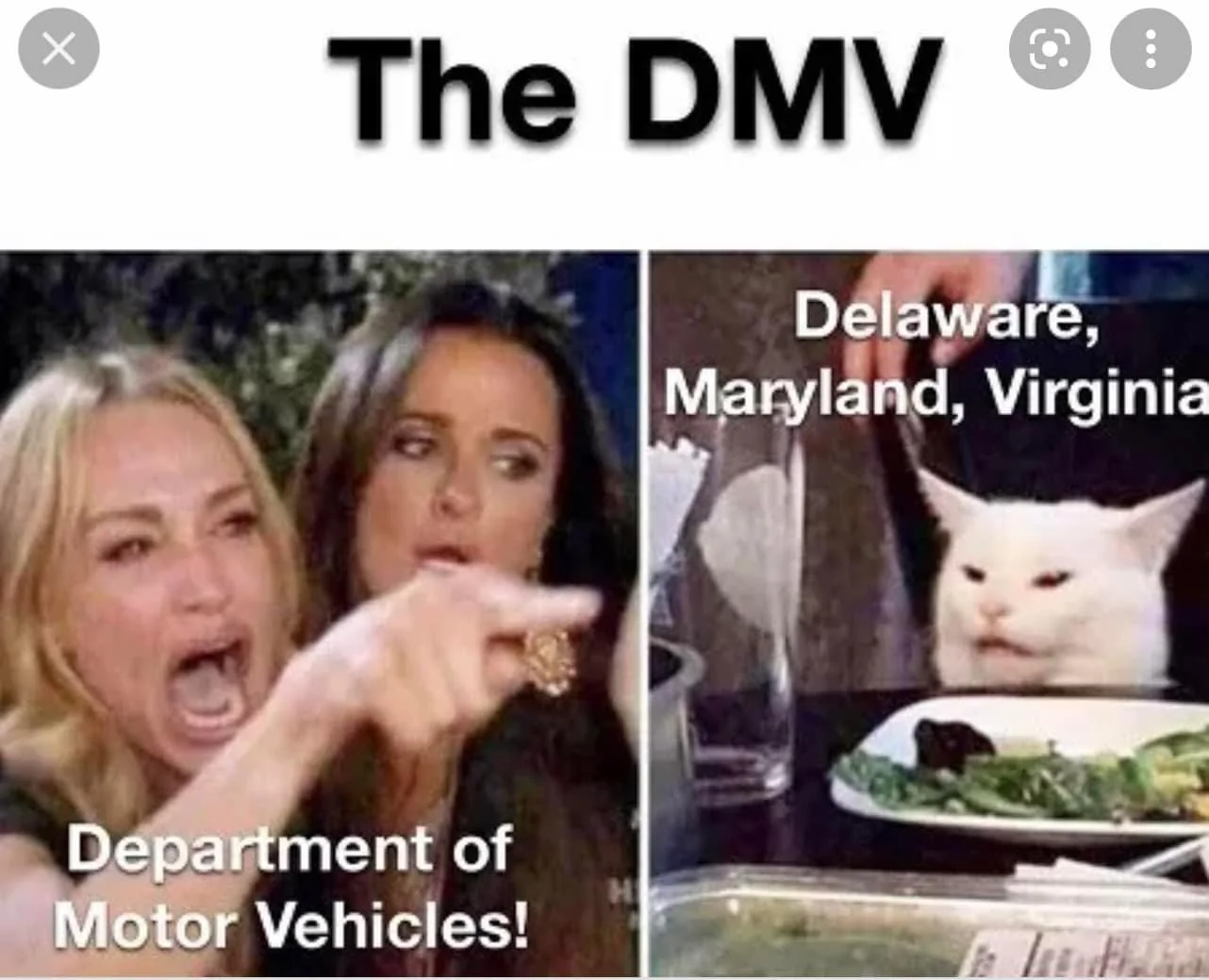 What is DMV?