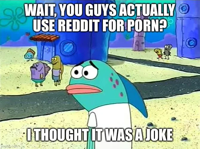What other lies have i been told by the council?