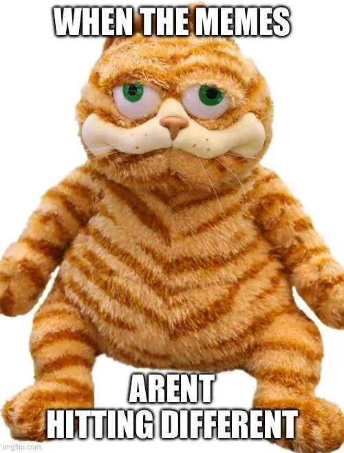 When the memes aren’t hitting different