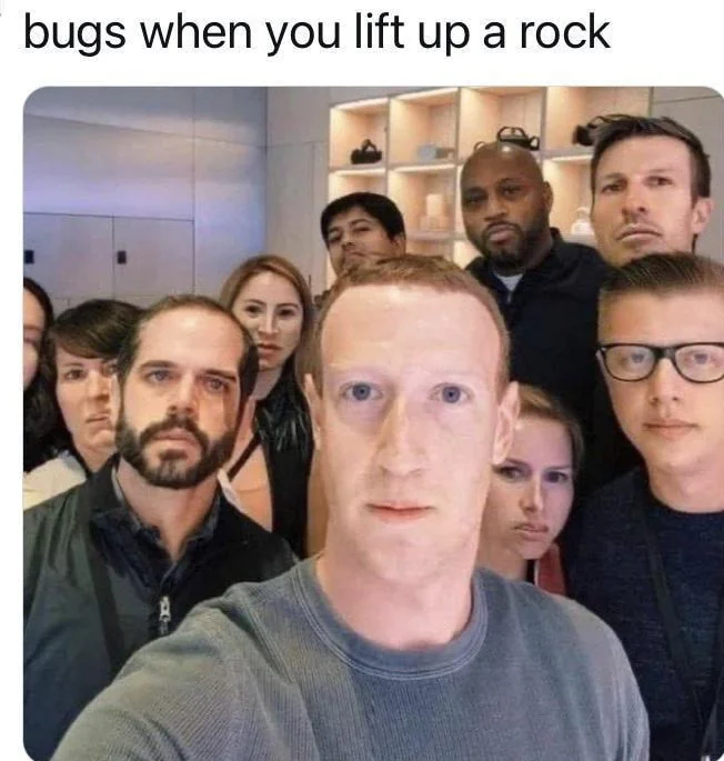 When you lift up a rock