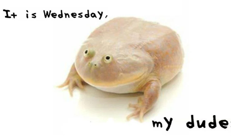 When you only have one friend.