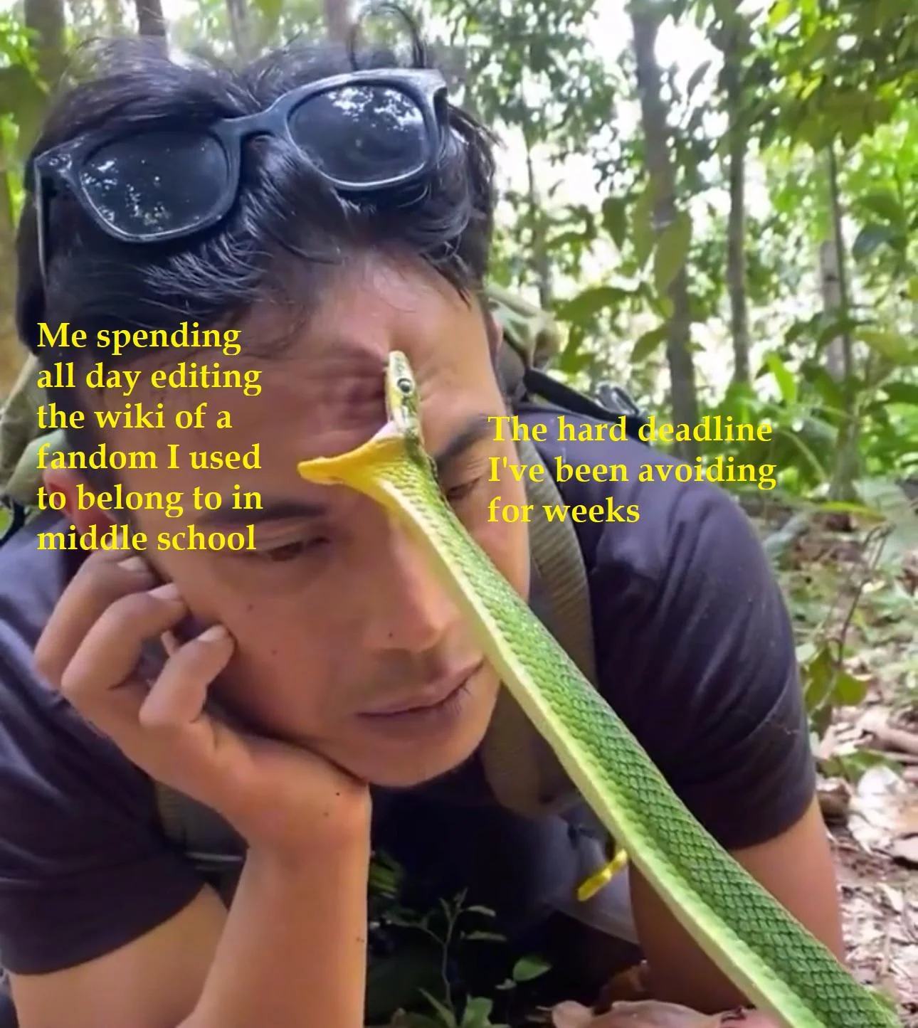 When your work machine is also your dopamine delivery meme