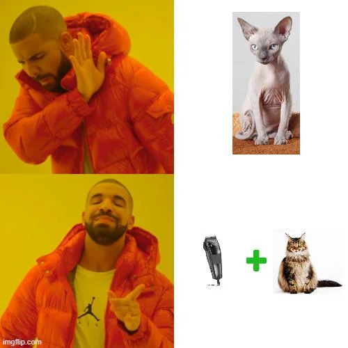 Why not DIY and save some money?