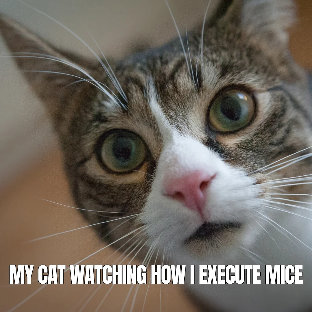 Why yes I like it quick