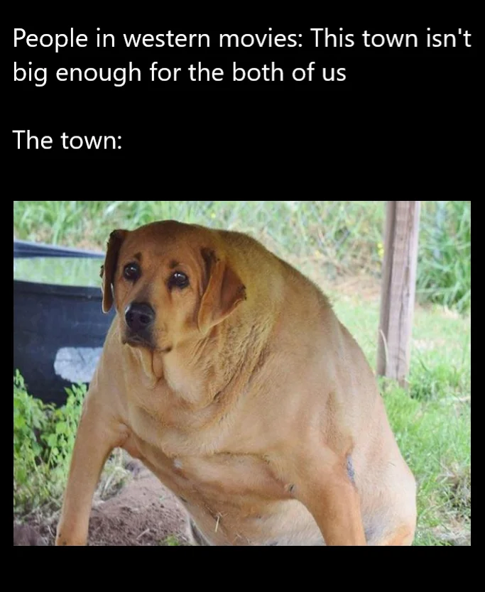 Wide dog