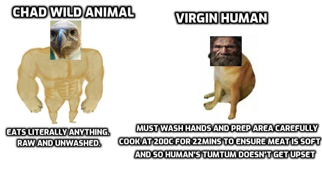 Wild animals don't need 5 different sterilised chopping boards