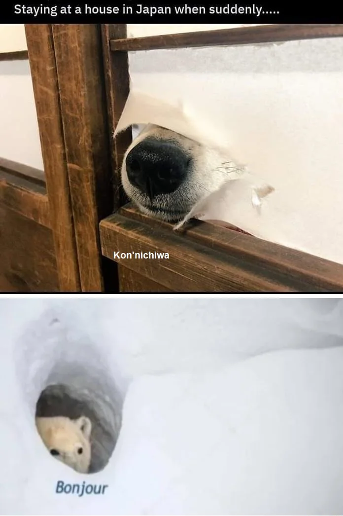 Es miércoles, mis amigos.