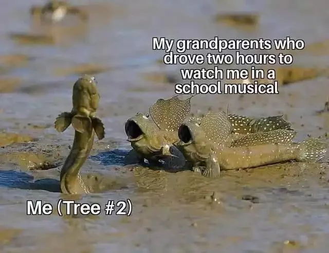 You killed it, grandson.
