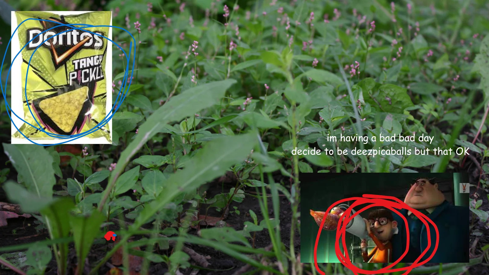 zesty pickle toeritoes