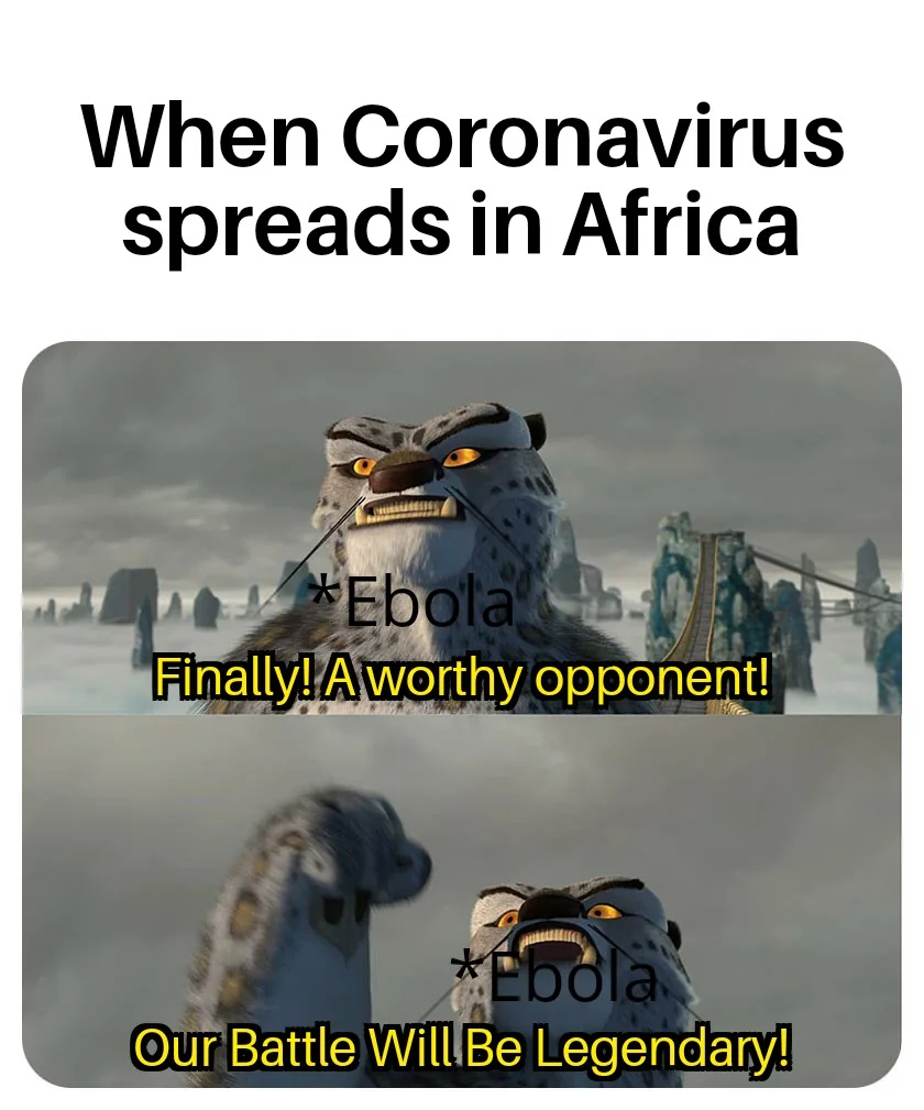 Zika virus : Let us introduce ourselves!